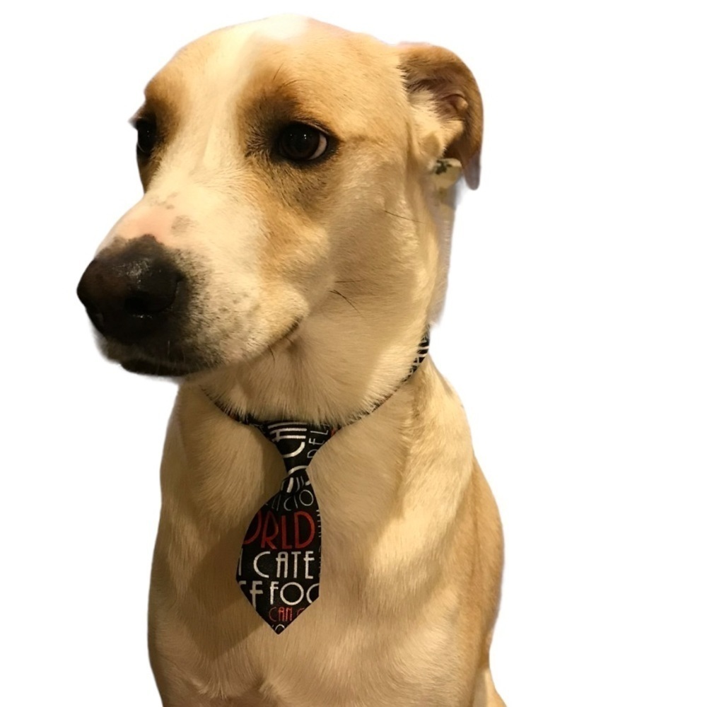 Adjusting Dog Neck Tie Collar